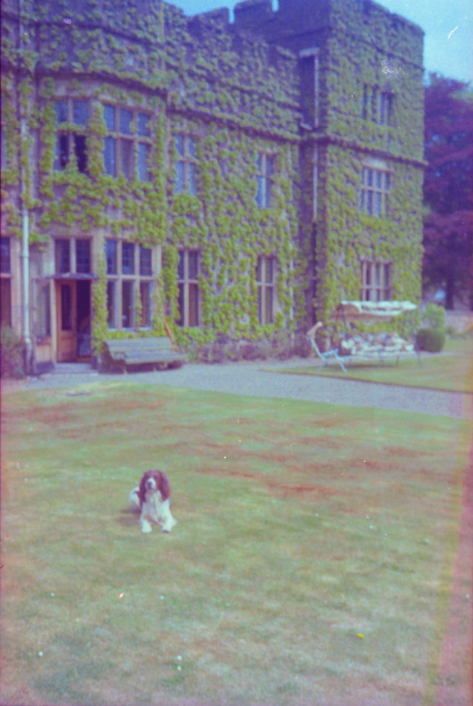 19800000c SLALEY HALL Springer on Terrace.jpg
